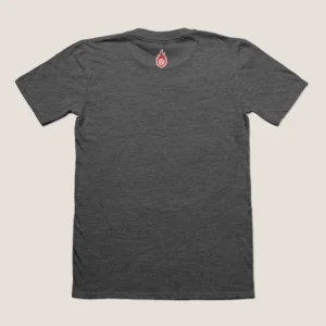 Camiseta-Pioneros-Back